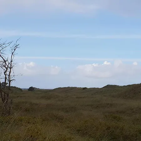 6 Person In Jerup-by Traum Jerup